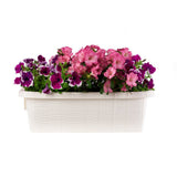 Bama Fioriera Blumenbalkonkasten 60x20x18,5 cm weiß