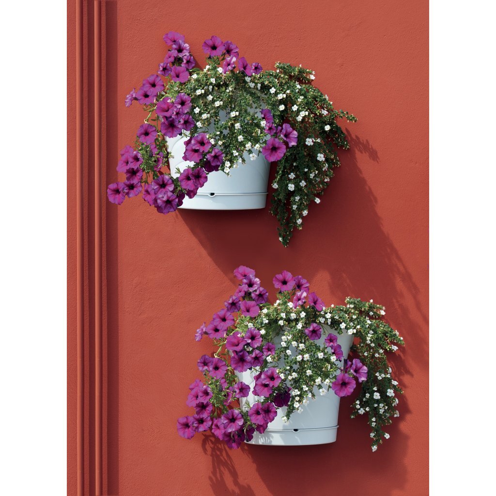 Bama Tulipano Blumentopf 5l 34,5x19x30 cm 4 Stück weiß