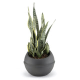 Bama Sfera Blumentopf 23l 40,5x32 cm anthrazit