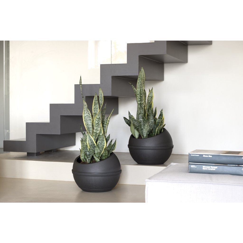 Bama Sfera Blumentopf 23l 40,5x32 cm anthrazit