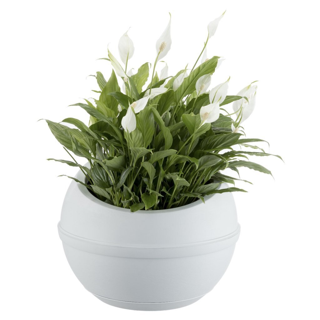 Bama Sfera Blumentopf 23l 40,5x32 cm weiß