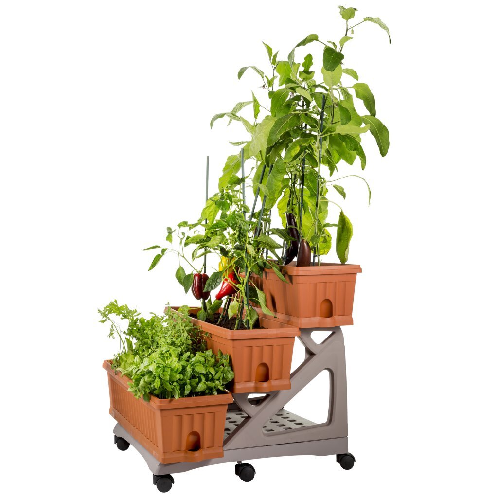 Bama orto di kit Pflanzgefäße 80x74x73 cm Terrakotta