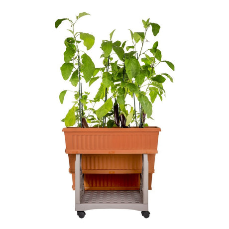 Bama orto di kit Pflanzgefäße 80x74x73 cm Terrakotta