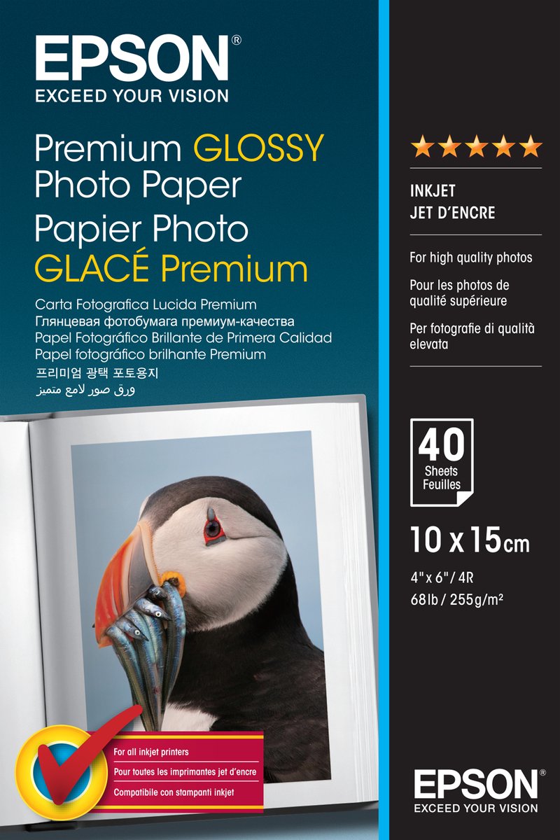 Epson c13s042153 Premium-Fotopapier – 10 x 15, 40 Blatt