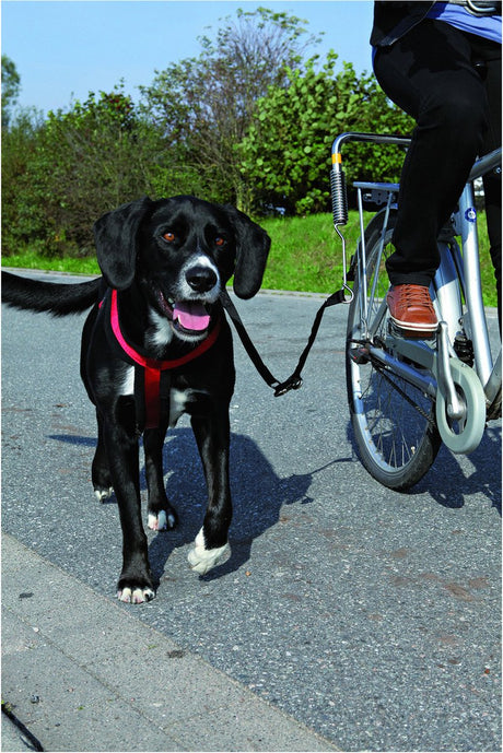Trixie Biker-Set Fahrradhalterung - Radfahren mit Hund - 1 Stk