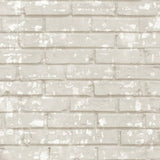 Noordwand wallpaper Freunde Kaffeesteine ​​Beige