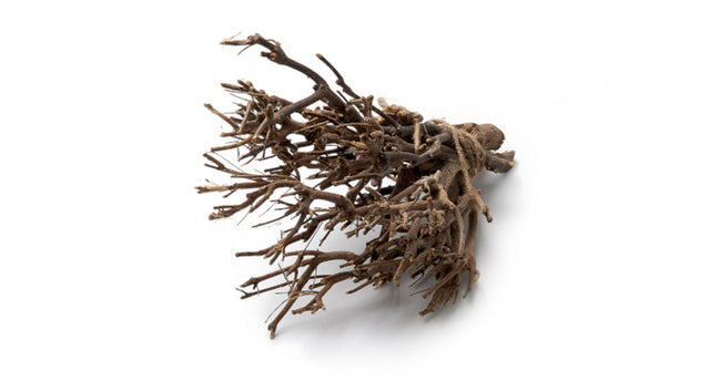 John branch ±35cm natural 500g