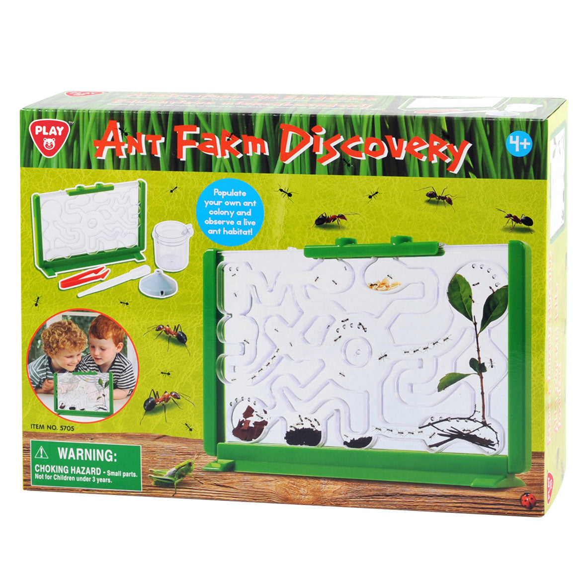 Ameisen-Beobachtungsbox von Playgo