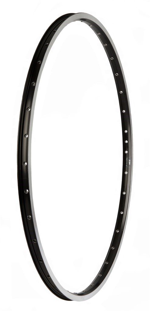 RIM Primax E STR19 28 - 622 X 19C - 36 buchi - Spaak 14 Valvola francese - Nero con bordo freno