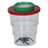 Insektentopf mit Lupe