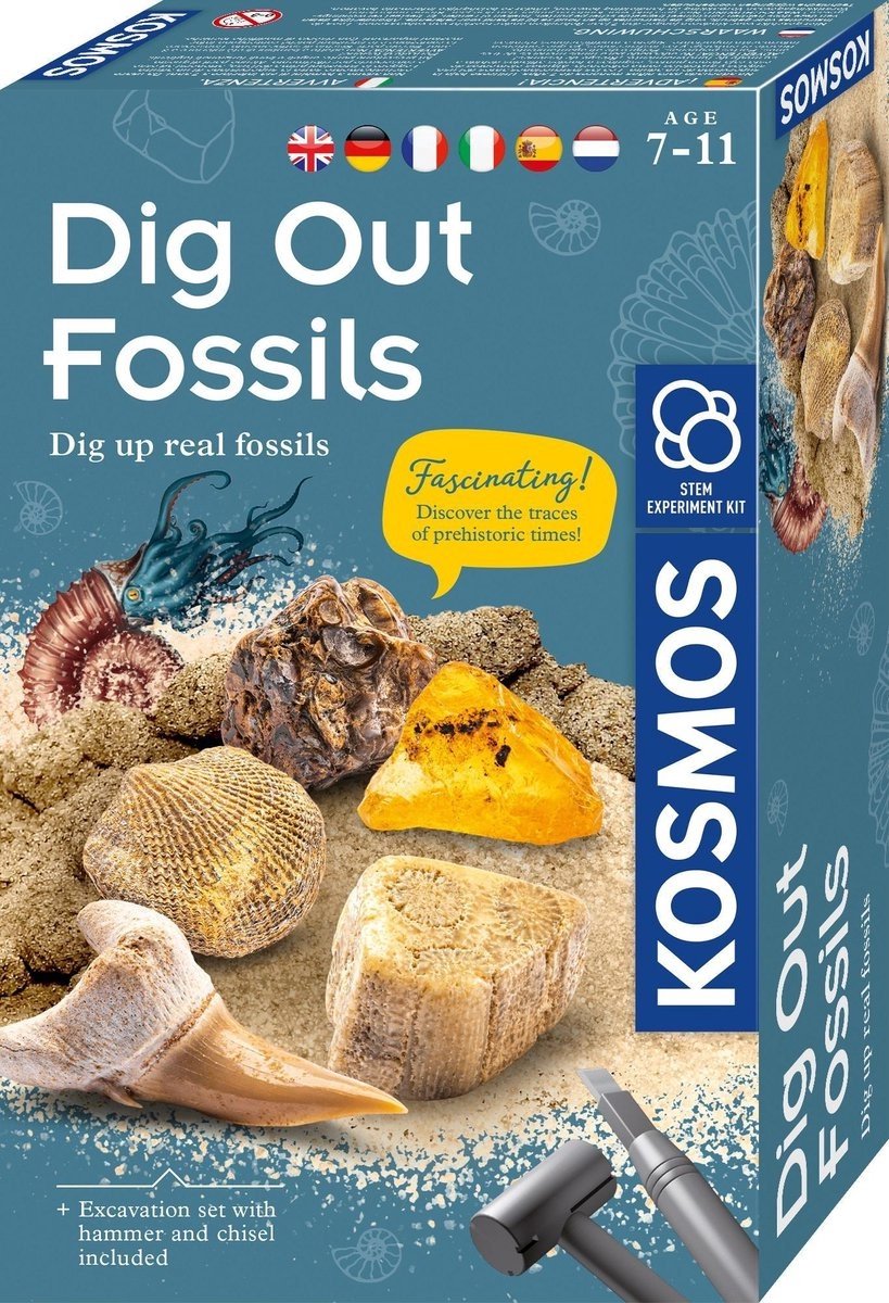 Kosmosfossilien herausarbeiten