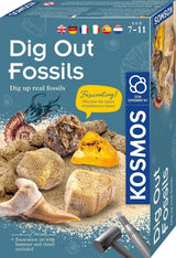 Kosmosfossilien herausarbeiten