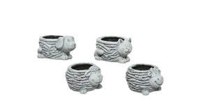 Terrac planter 4ass white 6cm