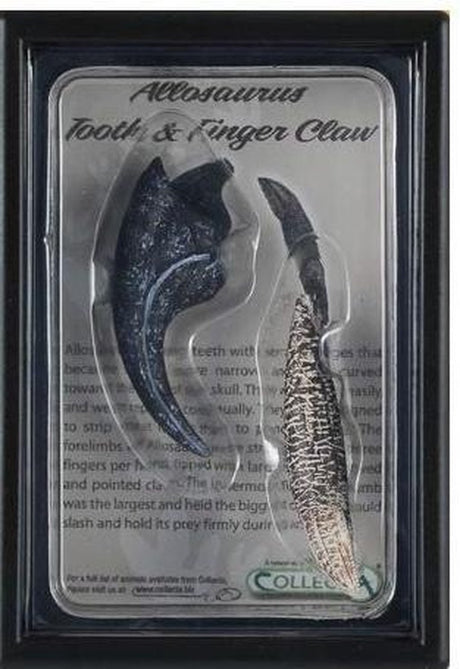 Collecta Figuren-Geschenkset – Allosaurus-Zahn und Finger