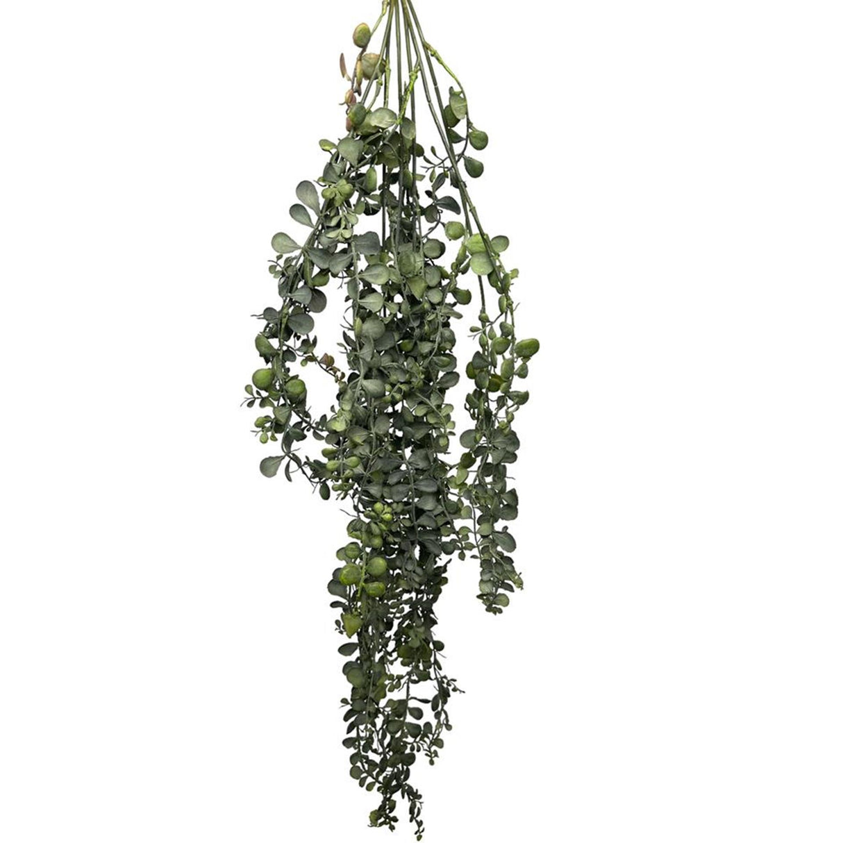 Roberts Collection künstliche Hängepflanze Dischidia grün 100 cm