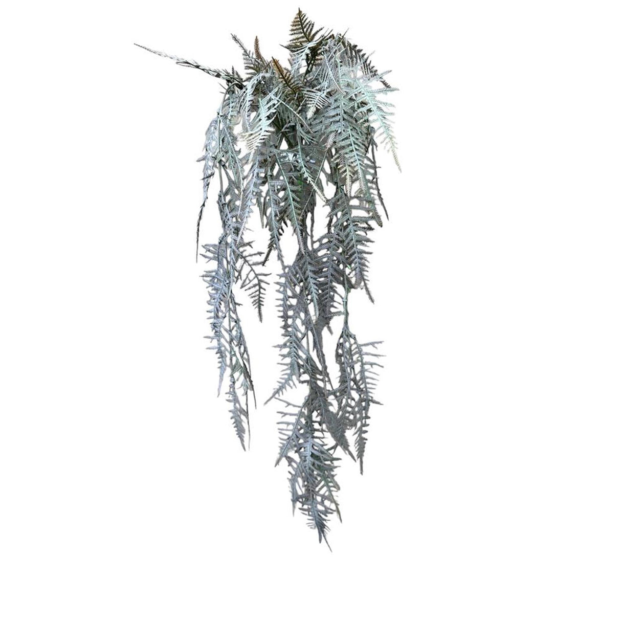 Roberts Collection künstliche Hängepflanze Spargel Plumosus braun