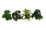 Countryfield kunstplant hang s groen 4 assorti 49x28x20cm