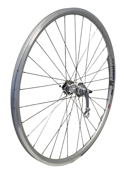 KGs Hinterrad 28 Zoll (622) Alu Rim Silber Velamos Remnaaf