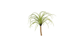 Tillandsia l22cm groen