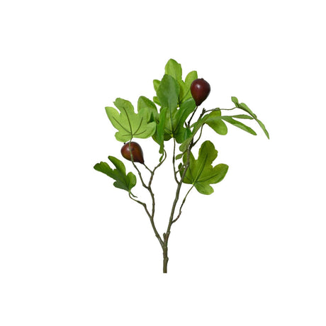 Decoris kunsttak 25x12x63cm kunsttak vijg 25x12x63cm