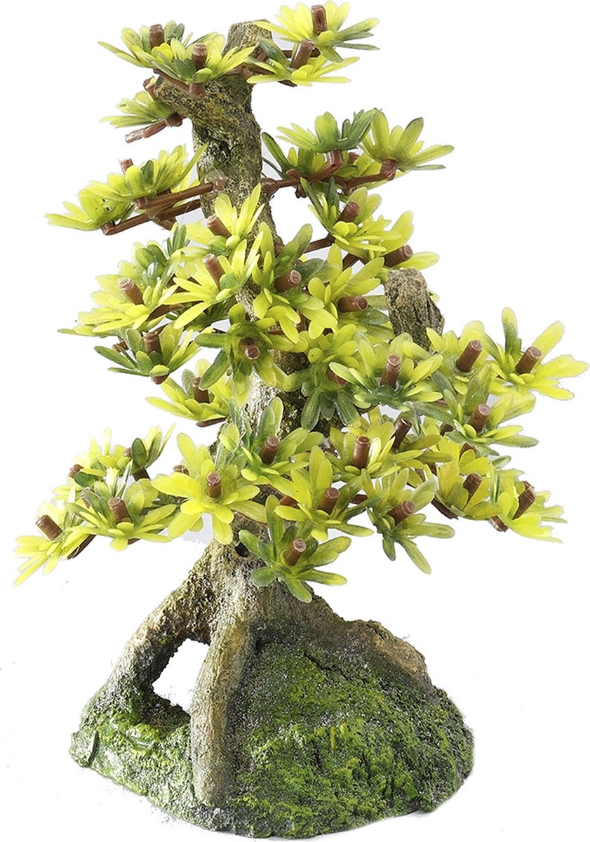 Aqua della europet bernina decor bonsai 2 - aquarium - ornament - 15 cm