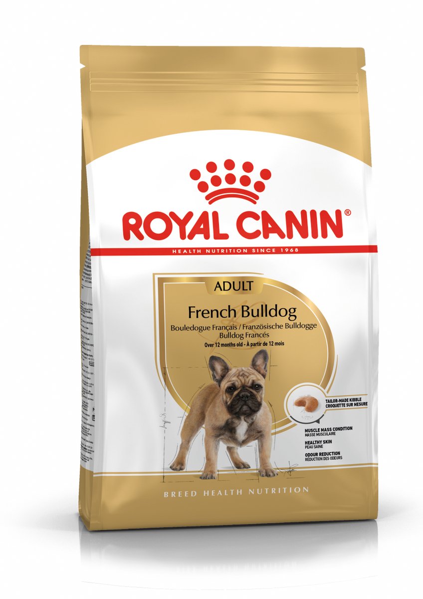 Erwachsene französische Bulldogge Royal Canin