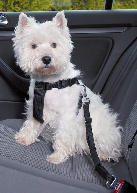 Trixie Hundegeschirr Auto inklusive Gurt schwarz