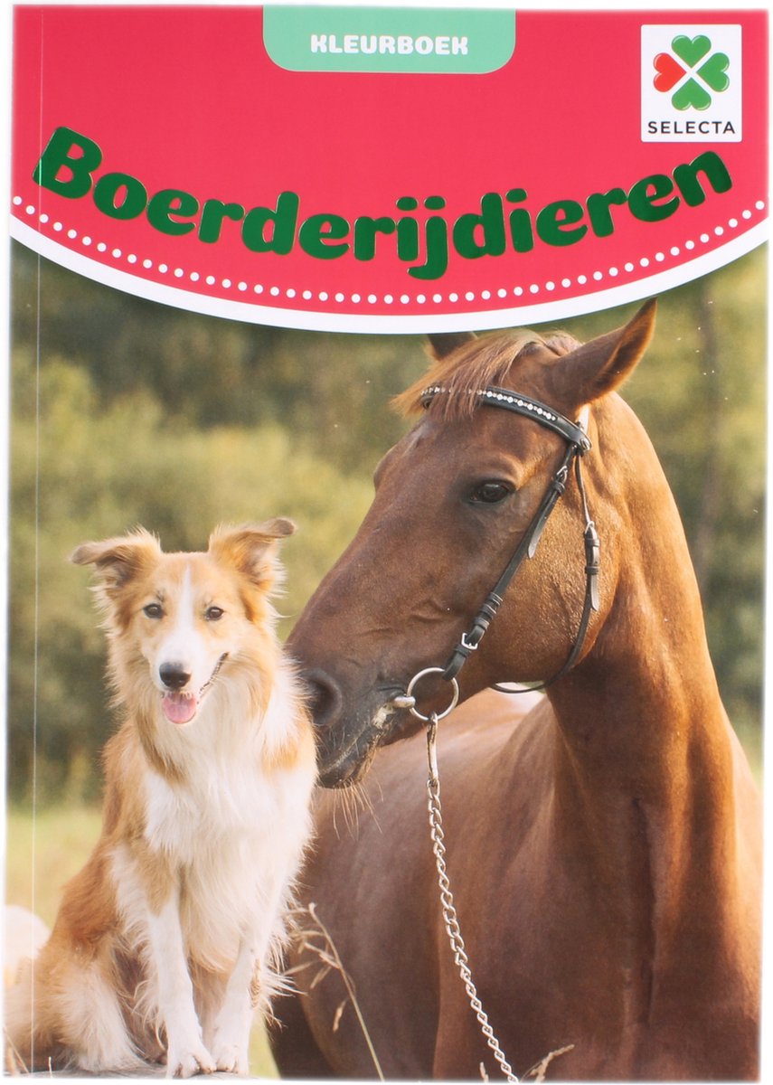 Selecta Malbuch Bauernhoftiere