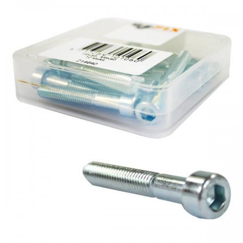 Bofix Allenbout M6 X 40 in acciaio inossidabile (12 pezzi)