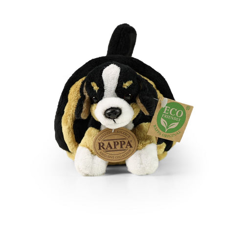 Plüsch Berner Hund mit Kiste 15 cm Öko-Fr