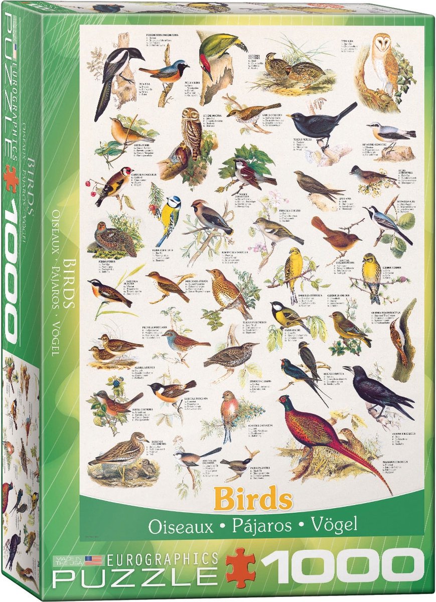 Eurographics - Vögel [Vögel] - 1000 Teile 48×68cm (B×H) – Puzzle
