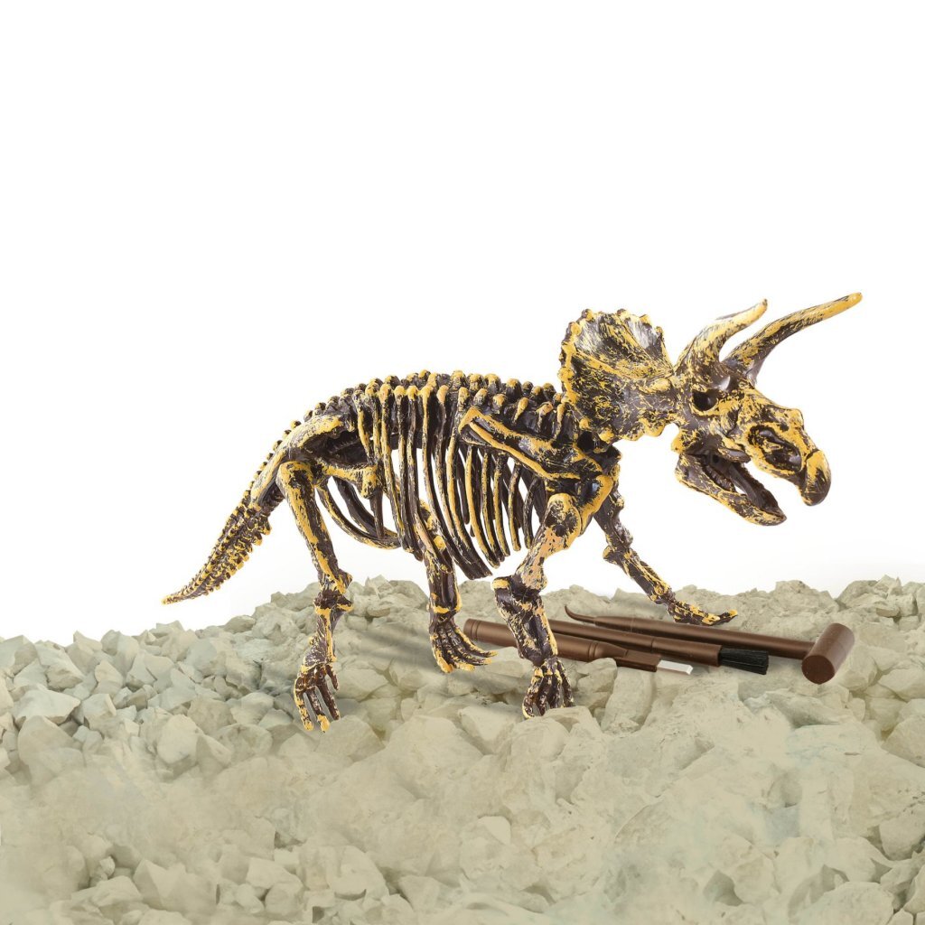 Dinobase dino 3d triceratops kostra