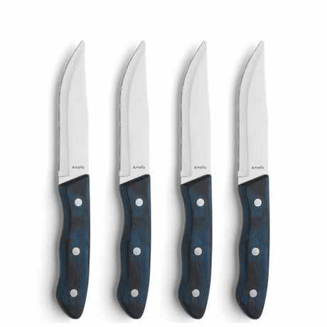 Amefa Steakmesser Hercule 4 Stück