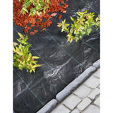 Naturaleza Naturaleza de zanahoria 2x10 m Negro