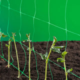 Nature Klimnet für Pflanzen Grün 2x5 M 6030430