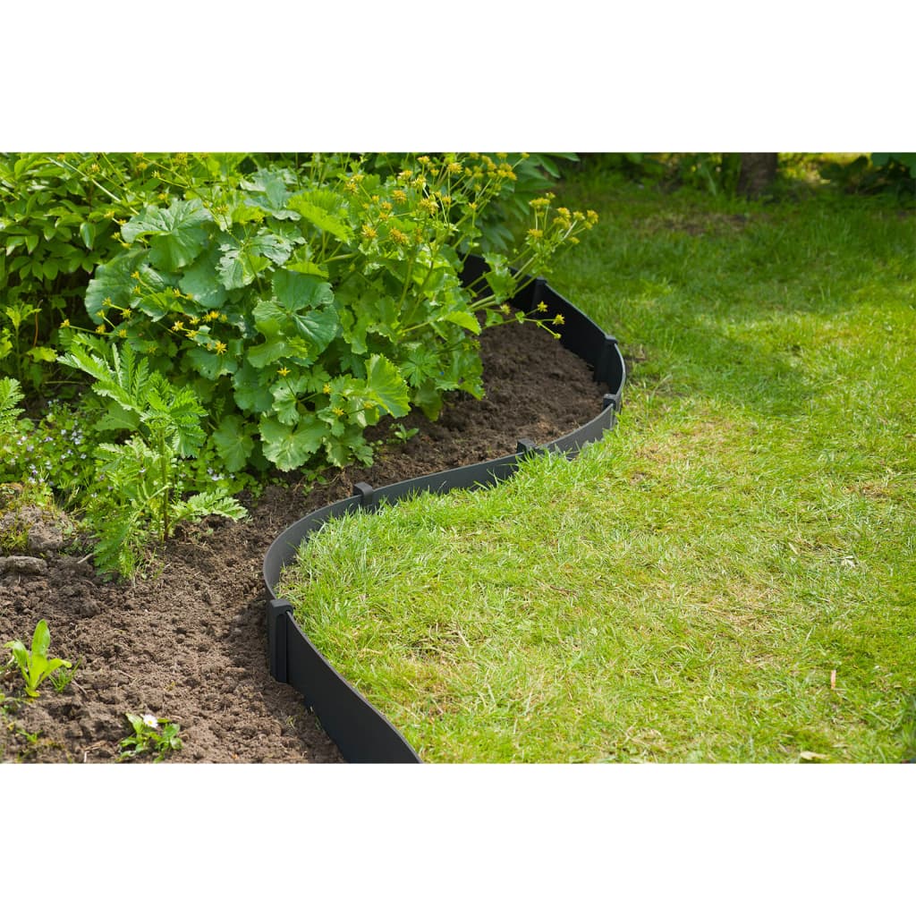 Naturaleza Naturaleza Border frontera Conjunto de H7.5 cm x 10 m con pluma negra