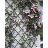 Nature Garden Slat Work 50x150 cm PVC Grün 6040702