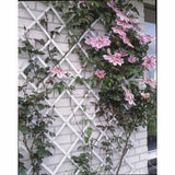 Nature Garden Slat Work 100x200 cm PVC Weiß 6040703