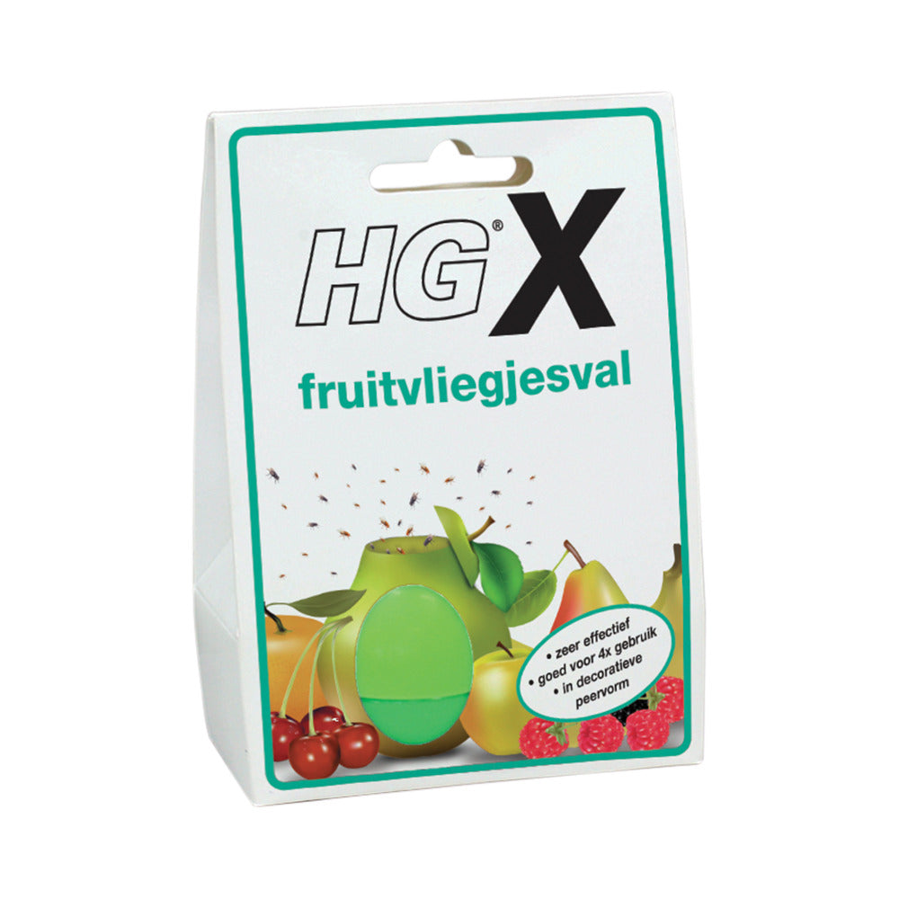 HG HGX Fruit flies