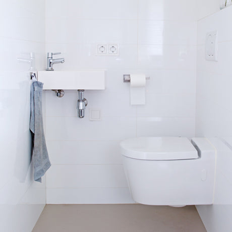 Hg Öko-Toilettenraumreiniger