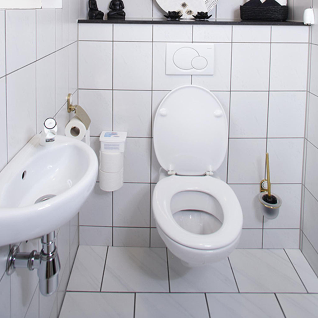 Hg Öko-Toilettenreiniger 500 ml