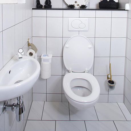 Hg Öko-Toilettenraumreiniger