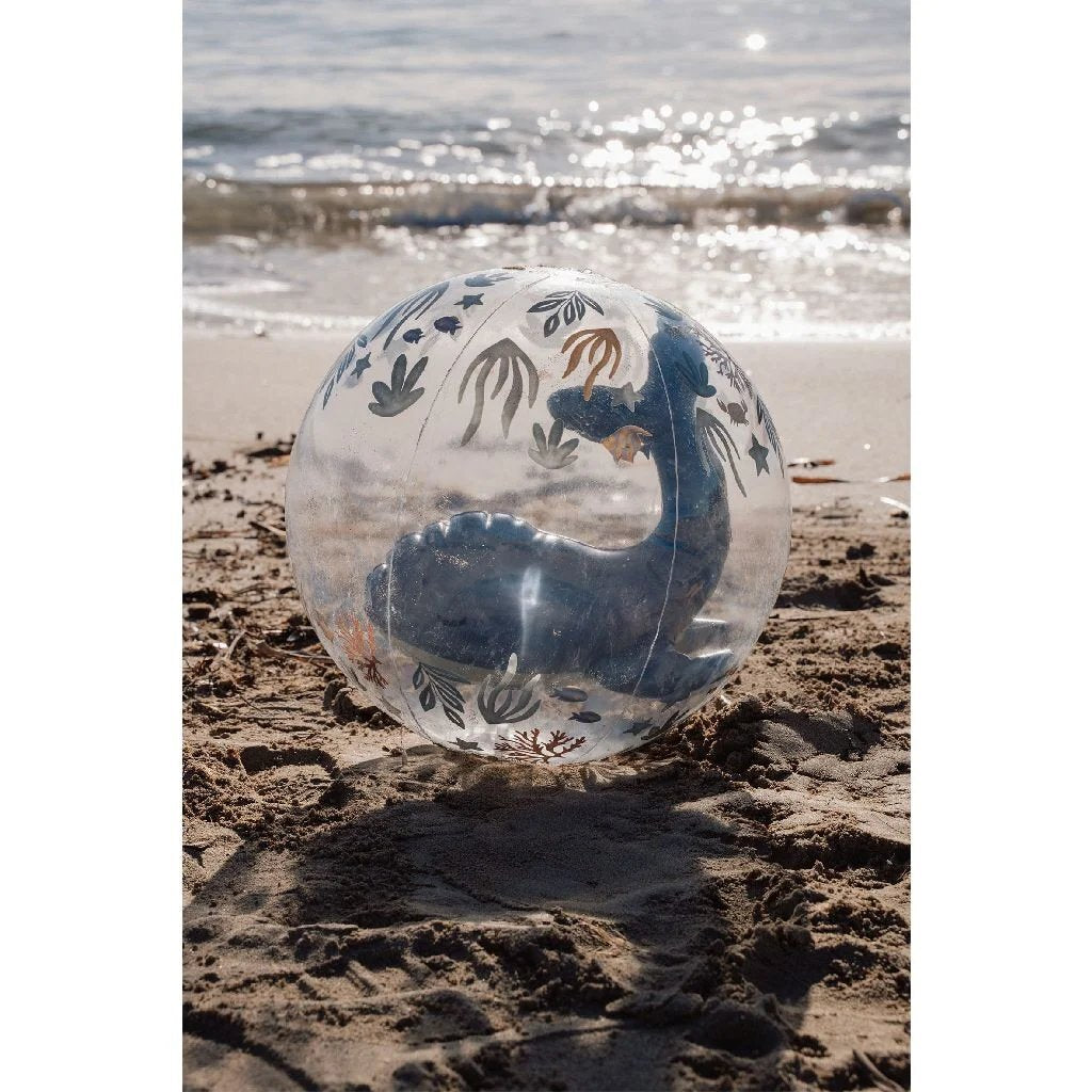 Little dutch strandbal - ocean world - 3d
