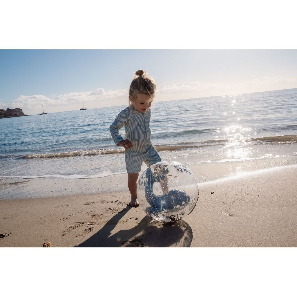 Little dutch strandbal - ocean world - 3d