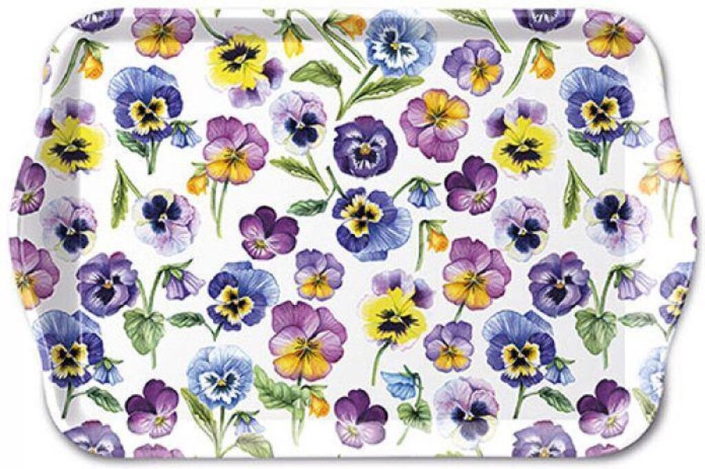 Pansy z tacą ambiente na ponad 13 x 21 cm