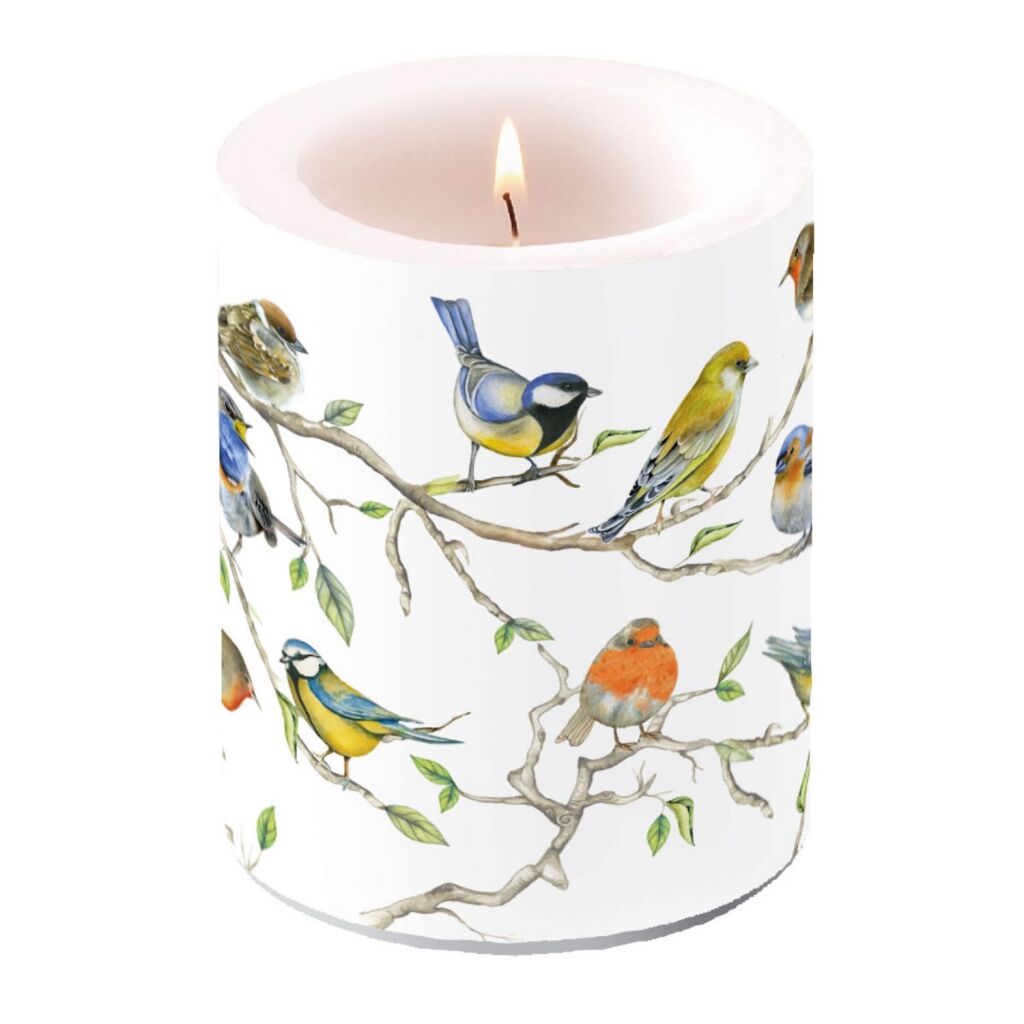 Ambiente Ambientne Kaars Vogels Brand w 75 godzinach spalania