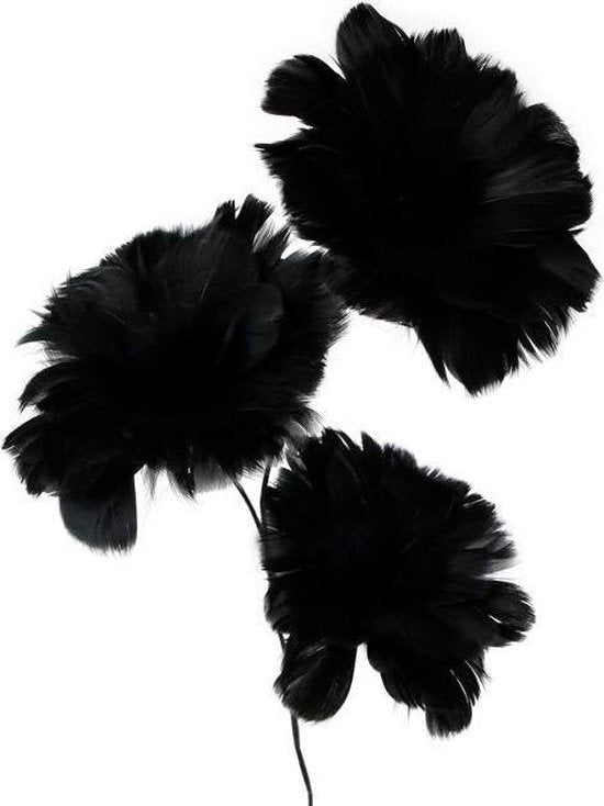 Prezenty Amsterdam Prezenty Amsterdam Feathers przy 75 cm czarny