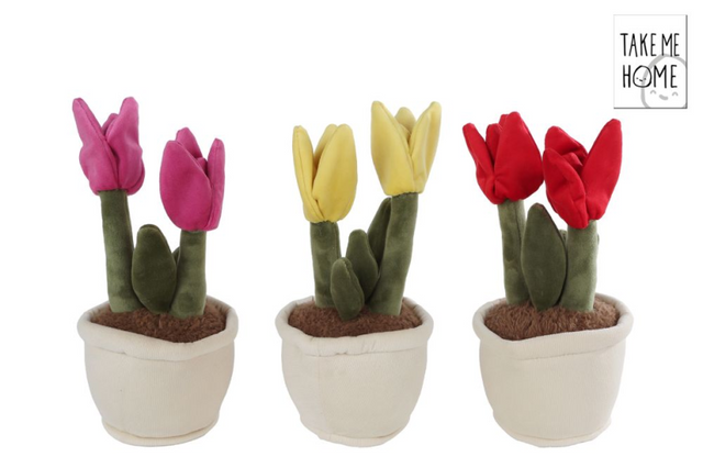Nimm mich mit nach Hause, Tulpenpflanze, Plüschtier, 27 cm