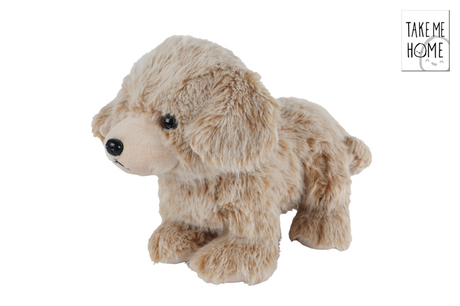Nimm mich mit nach Hause, Plüschhund, stehend, 35 cm, Kuscheltier.