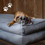 Madison Dog Chashion Panama 120x90x15 cm siva